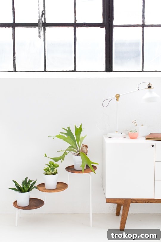 DIY Acacia Wood Indoor Plant Showcase 2 Modern DIY Acacia Wood Plant Stand for Indoor Plants