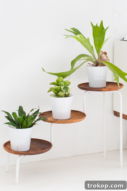 DIY Acacia Wood Indoor Plant Showcase 3 DIY Acacia Plant Stand with Multiple Tiers