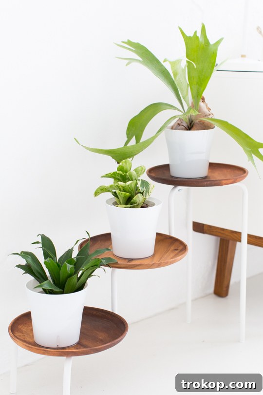 DIY Acacia Wood Indoor Plant Showcase 4 Materials for DIY Acacia Wood Plant Stand