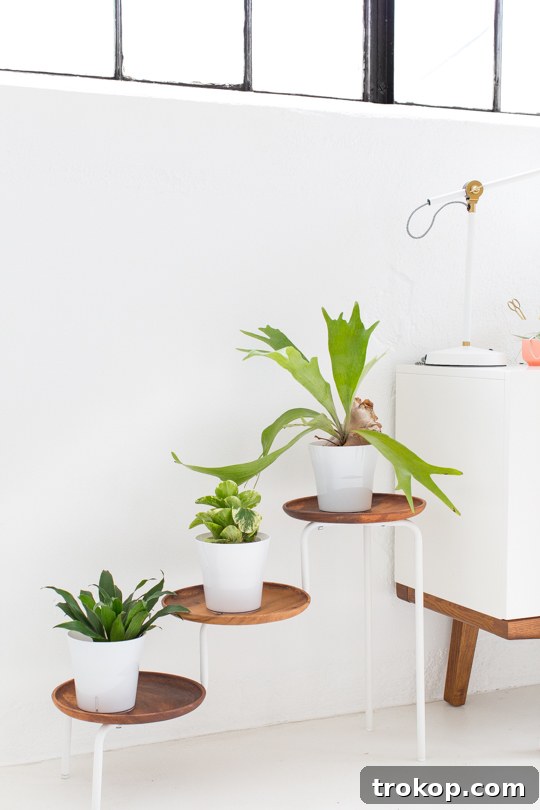 DIY Acacia Wood Indoor Plant Showcase 7 Finished DIY Acacia Wood Plant Stand