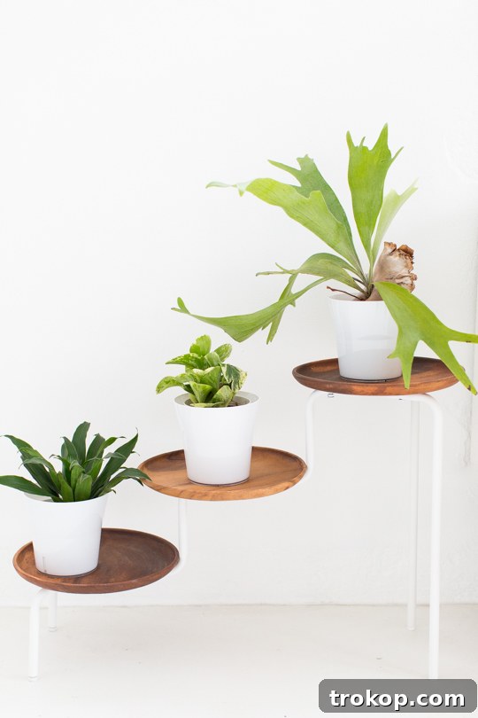 DIY Acacia Wood Indoor Plant Showcase 9 Modern Indoor Plant Stand with Acacia Wood