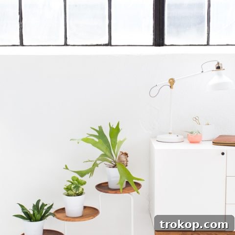 DIY acacia wood plant stand | by top Houston lifestyle blogger Ashley Rose of Sugar & Cloth