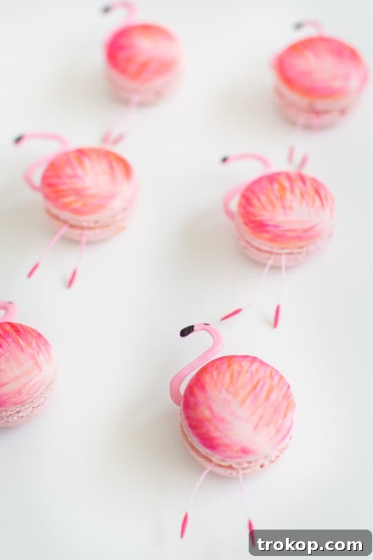 Three fully assembled DIY flamingo macarons, showcasing their vibrant feathers and delicate details
