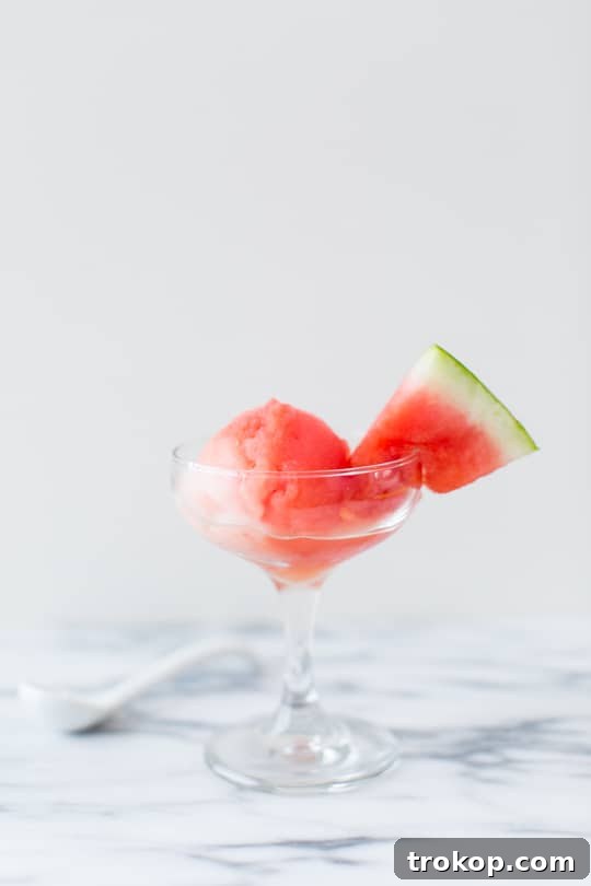 Refreshing Watermelon Vodka Sorbet 2 Sugar Free Spiked Watermelon Sorbet Recipe | sugar & cloth