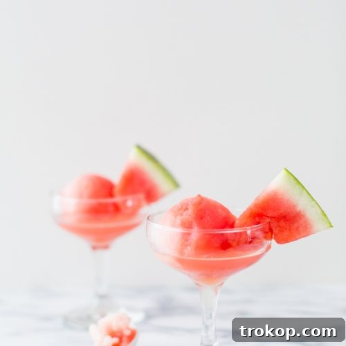 Sugar Free Spiked Watermelon Sorbet Recipe | sugar & cloth