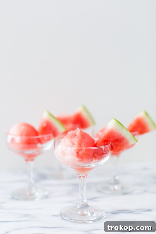 Refreshing Watermelon Vodka Sorbet 3 Sugar Free Spiked Watermelon Sorbet Recipe | sugar & cloth