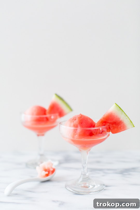Refreshing Watermelon Vodka Sorbet 5 Sugar Free Spiked Watermelon Sorbet Recipe | sugar & cloth