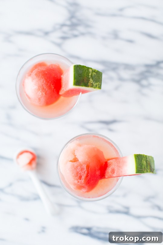 Refreshing Watermelon Vodka Sorbet 6 Sugar Free Spiked Watermelon Sorbet Recipe | sugar & cloth