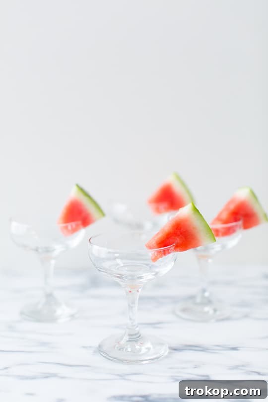 Refreshing Watermelon Vodka Sorbet 8 Sugar Free Spiked Watermelon Sorbet Recipe | sugar & cloth