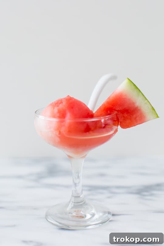 Refreshing Watermelon Vodka Sorbet 10 Sugar Free Spiked Watermelon Sorbet Recipe | sugar & cloth
