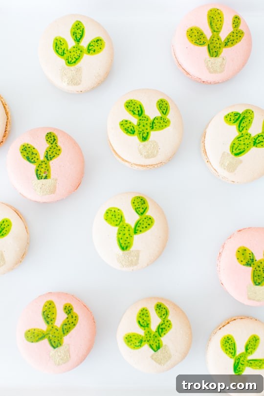 A selection of charming cactus-themed desserts and drinks at the brunch party