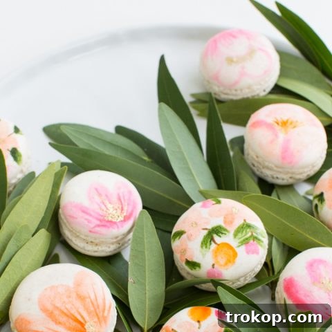 Blossom Bites: Crafting Hand-Painted Floral Macarons 14 DIY floral macarons | sugar & cloth
