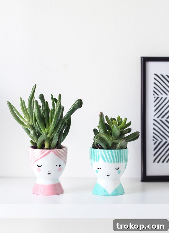 DIY mini face planters | sugar & cloth