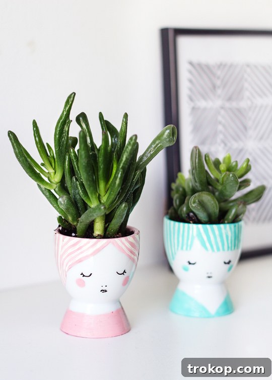 DIY mini face planters | sugar & cloth