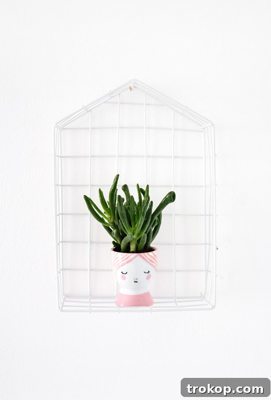 DIY mini face planters | sugar & cloth