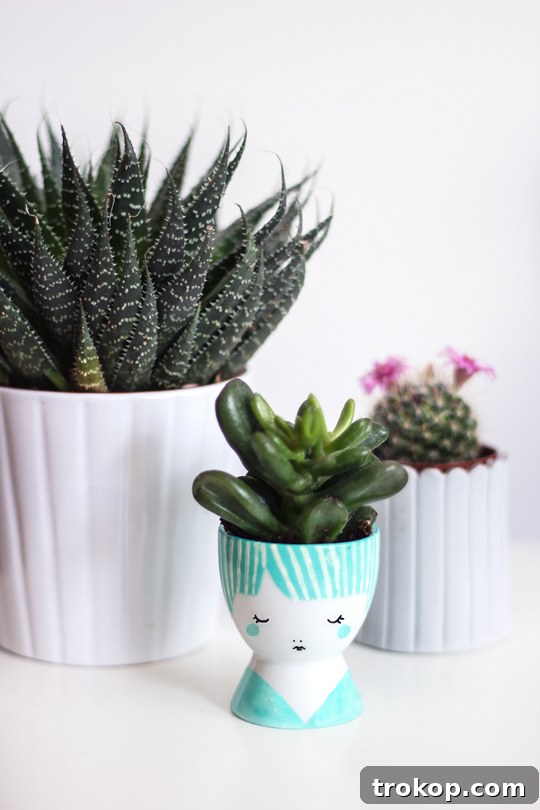 DIY mini face planters | sugar & cloth