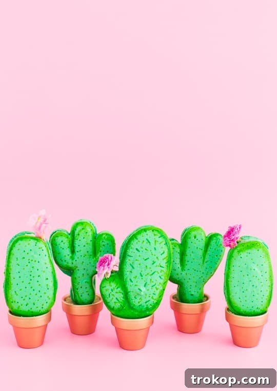 DIY Potted Cactus Macarons