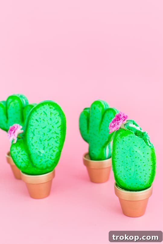 Assembled Potted Cactus Macarons