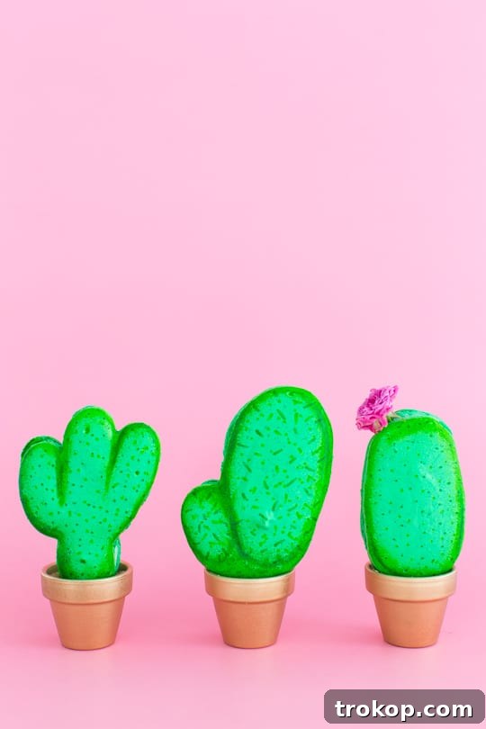 Finished Potted Cactus Macarons Display