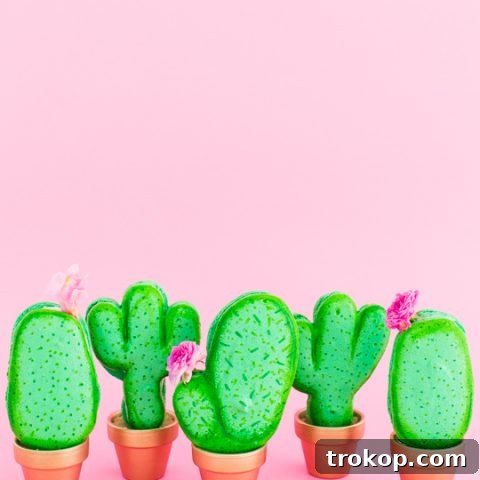 DIY Potted Cactus Macarons Recipe