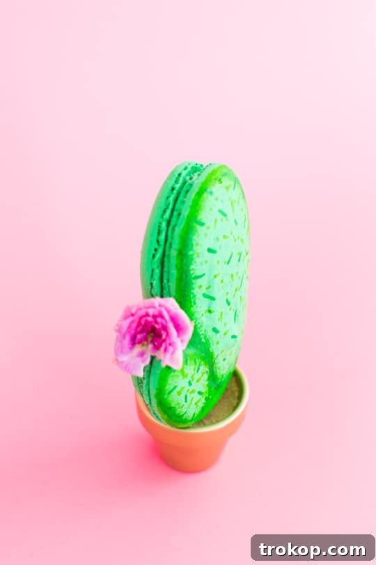 Close-up of DIY Potted Cactus Macarons
