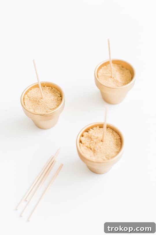 Materials for DIY Potted Cactus Macarons