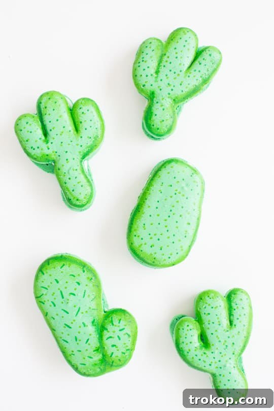 Macarons Outlined with Light Green Edible Marker