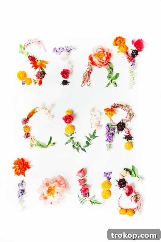Stay Curious Printable with Floral Elements Stay Curious floral printable for an inspiring space