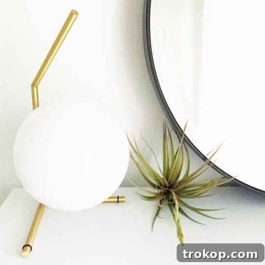 Uncut & Unfiltered: Backstage 6.1 9 Stylish Flos table lamp illuminating a modern interior space
