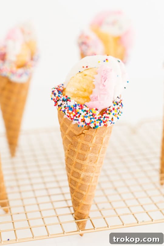 Close-up of Funfetti Dessert Chips in a Bowl
