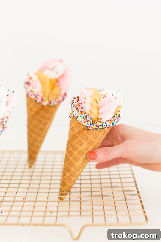 Funfetti Dessert Chips Ready for Serving