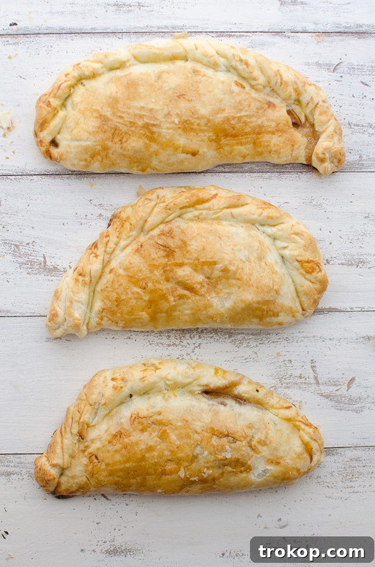 Apple Pie Pocket Treats 3 Delicious Apple Pie Hand Pies - A Portable Dessert Treat