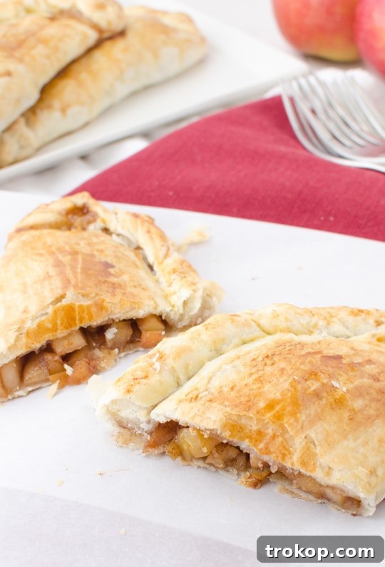 Apple Pie Pocket Treats 4 Apple Pie Hand Pies Ingredients - Fresh Apples and Spices