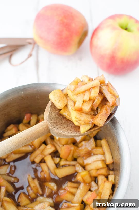 Apple Pie Pocket Treats 5 Making the Pie Dough for Apple Hand Pies - Step-by-Step Guide