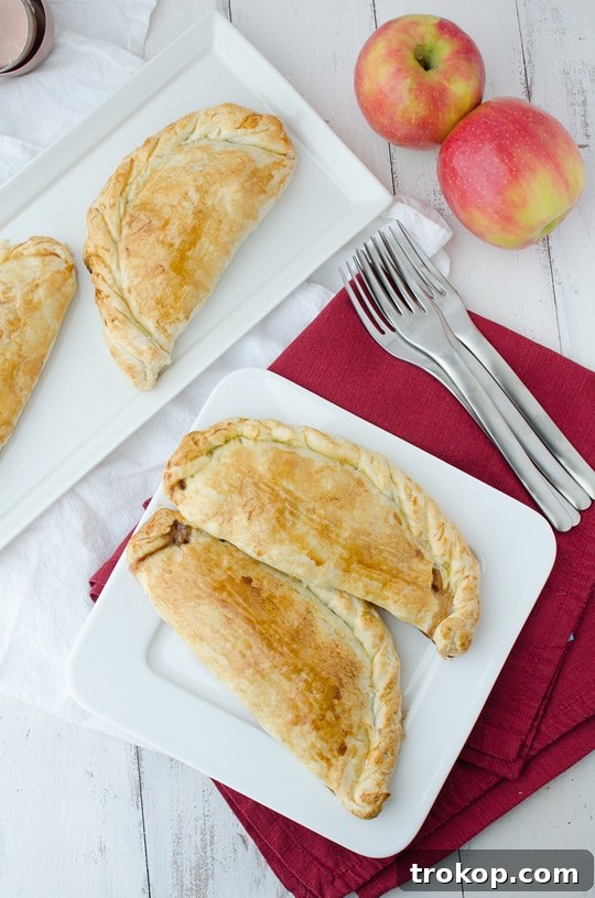 Apple Pie Pocket Treats 8 Tips for Making the Best Apple Pie Hand Pies - Recipe Variations and Storage