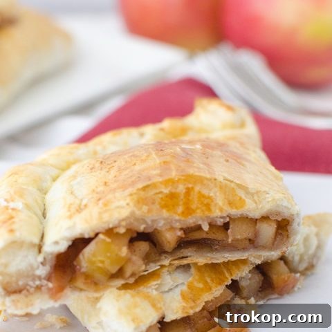 Apple Pie Pocket Treats 9 apple pie hand pies recipe - sugar & cloth