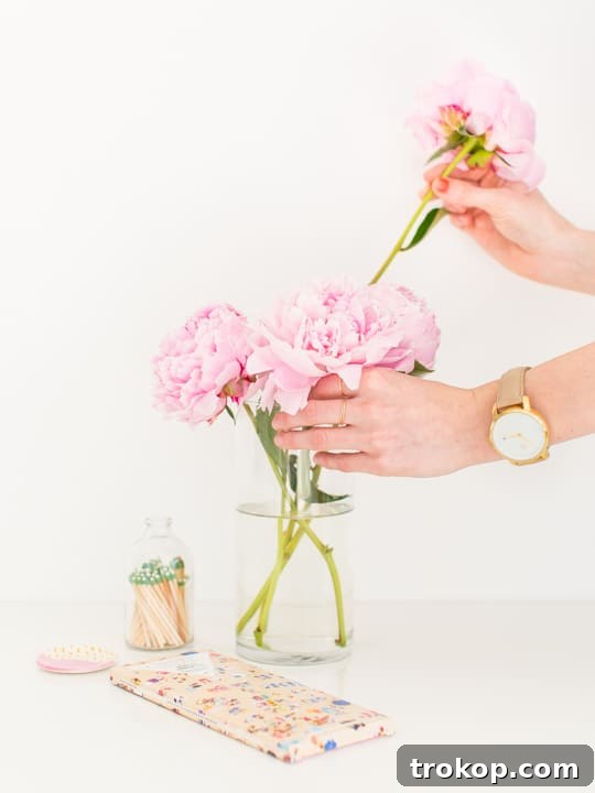 An overhead shot revealing a meticulously arranged photoshoot setup in the studio