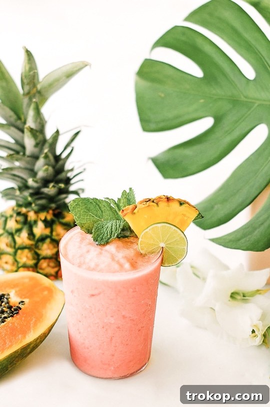 Watermelon Papaya Rum Refresher 2 Watermelon Papaya Rum Smoothie - A delicious and refreshing tropical drink