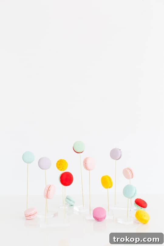 Elevate Your Desserts: DIY Macaron Display Showcase