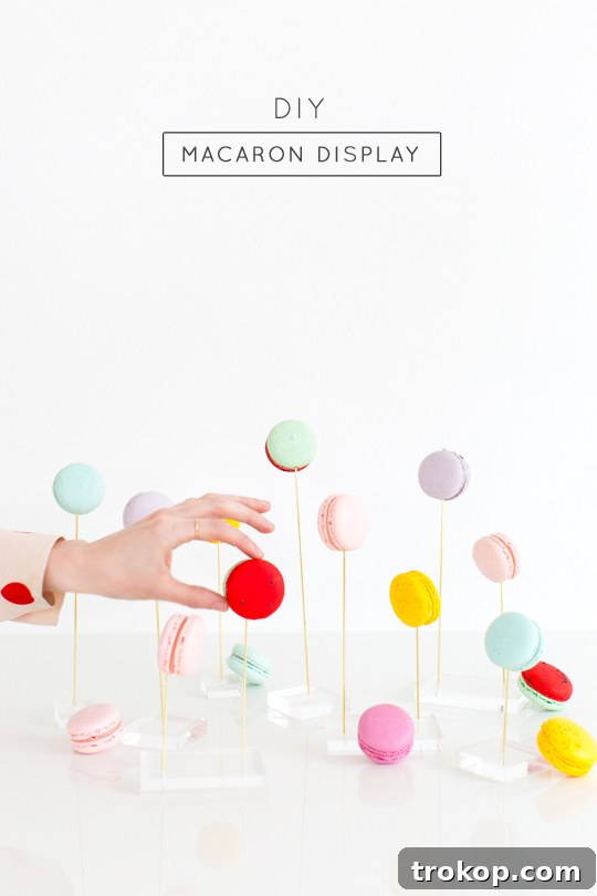 Final Look: Stunning DIY Macaron Display by Sugar & Cloth