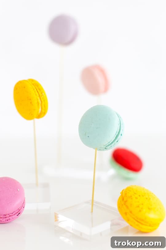 Chic and Modern DIY Macaron Display