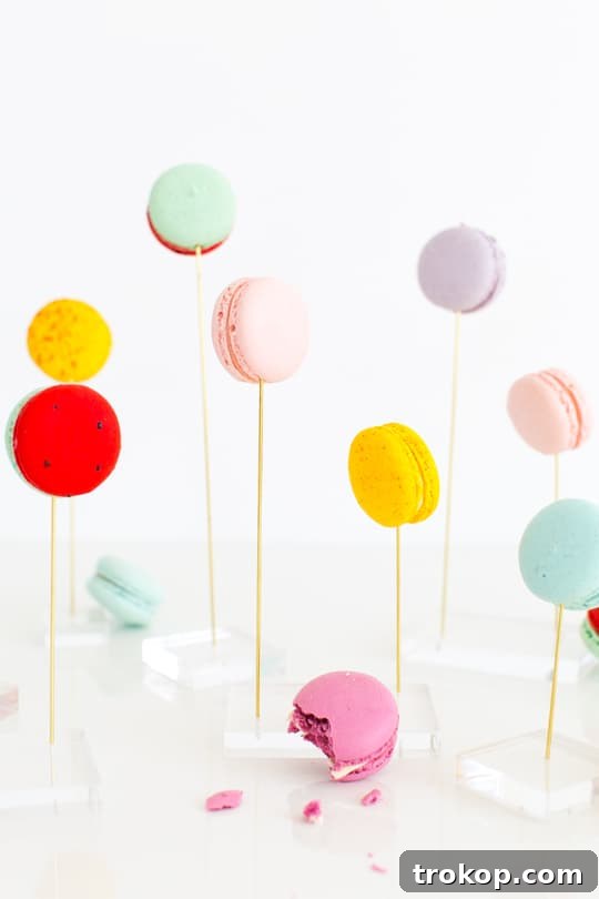 DIY Macaron Display Materials and Tools