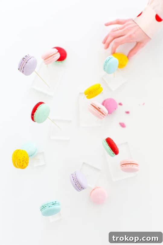 Beautiful Macaron Display for Events