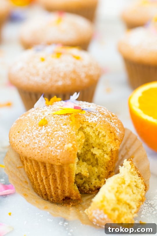 Mediterranean Lemon Olive Oil Cupcakes 3 lemon orange olive cupcake recipe - sugar & cloth