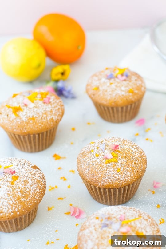 Mediterranean Lemon Olive Oil Cupcakes 7 lemon orange olive cupcake recipe - sugar & cloth