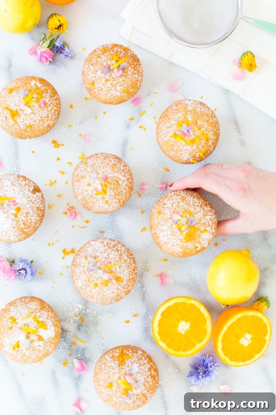Mediterranean Lemon Olive Oil Cupcakes 8 lemon orange olive cupcake recipe - sugar & cloth