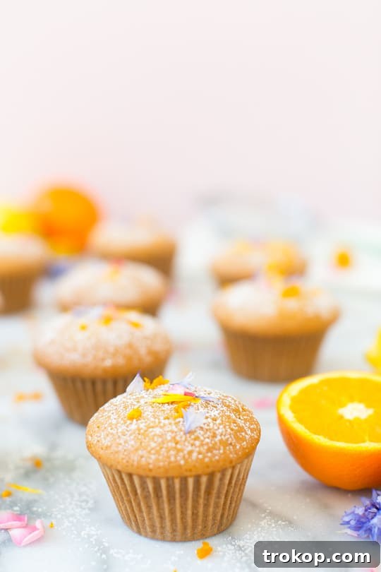 Mediterranean Lemon Olive Oil Cupcakes 9 lemon orange olive cupcake recipe - sugar & cloth
