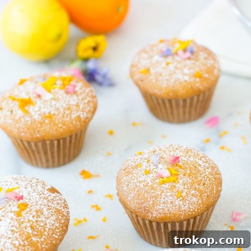lemon orange olive cupcake recipe - sugar & cloth