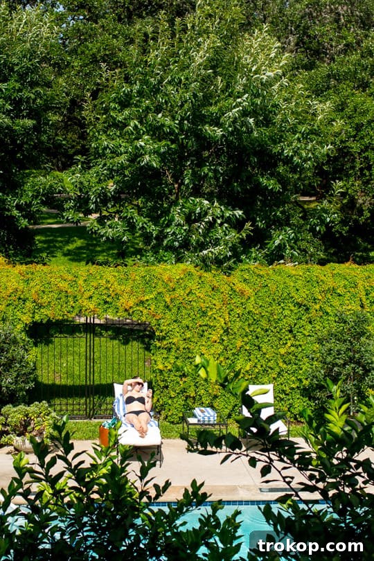 our stay at hotel saint cecilia austin, texas - sugar & cloth