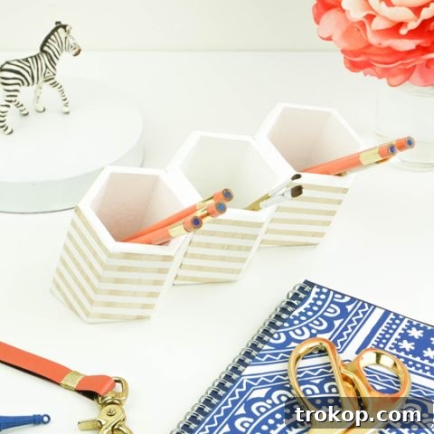 Hexagonal DIY desktop organizer - Sugar & Cloth